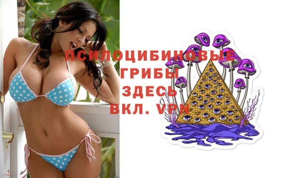 МДПВ Бугульма