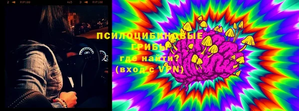 дурь Бронницы